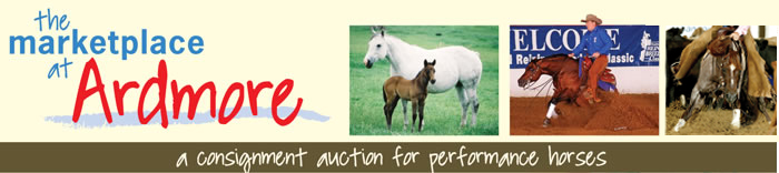 32 Cattle Company Performance Horse Sale Logo